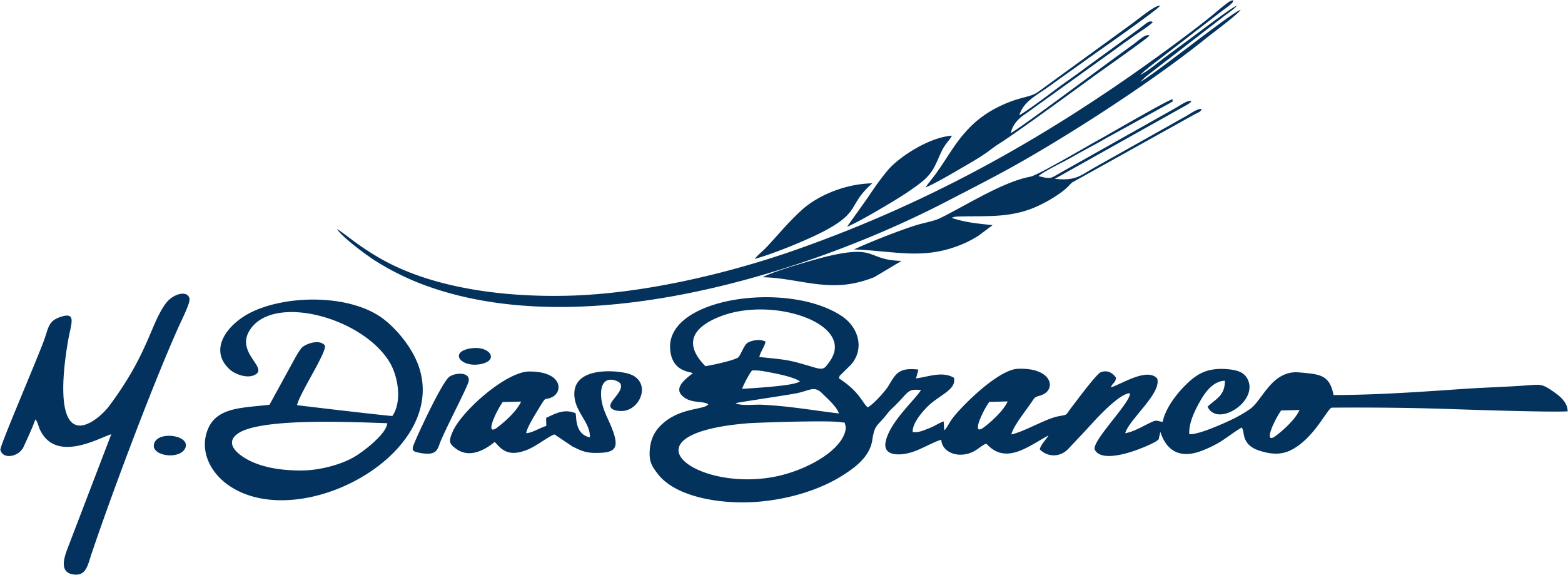 M Dias Branco